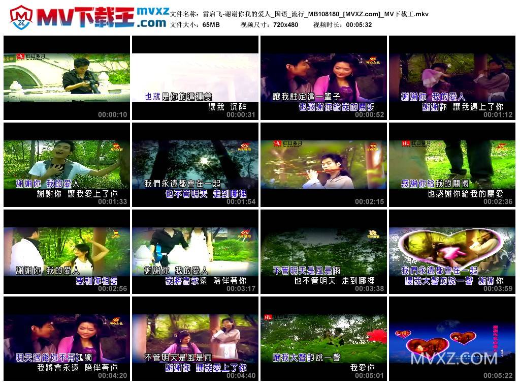 雷启飞-谢谢你我的爱人_国语_流行_MB108180